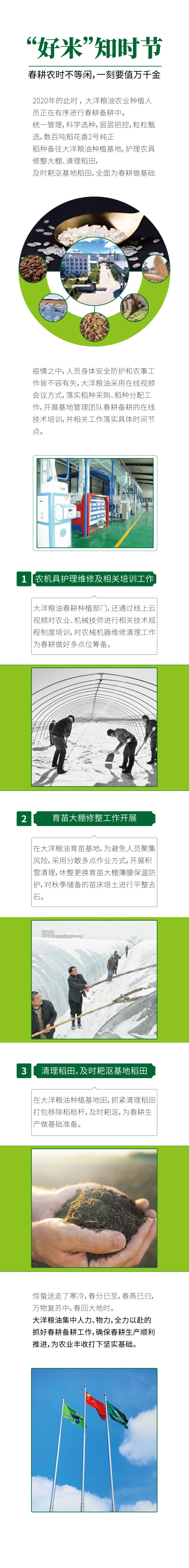 好米知時(shí)節(jié)_畫(huà)板 1